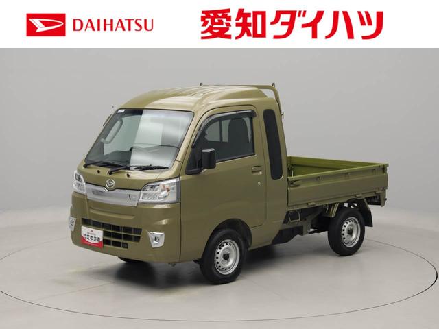ジャンボ　雹害車