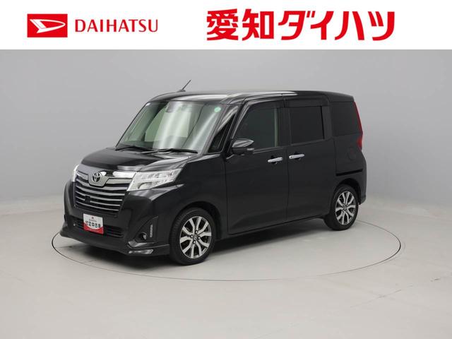 カスタムＧ－Ｔ　雹害車