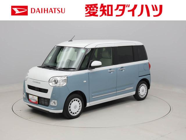 ストライプスＧ　雹害車