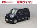 carPhoto