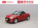 carPhoto