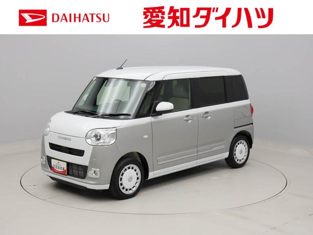 ストライプスＧ　雹害車