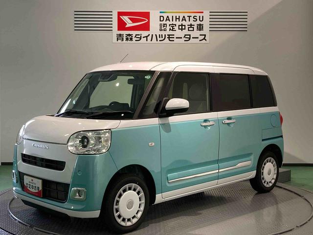 ムーヴキャンバス シャイニングホワイトパール× ファインミント