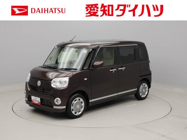 Ｇメイクアップリミテッド　ＳＡＩＩＩ　パノラマカメラ　両側電動スライドドア　メモリナビ