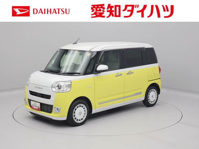ストライプスＧ　両側電動スライドドア　ＥＴＣ　パノラマカメラ