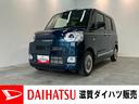 carPhoto