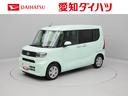 carPhoto