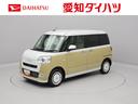 carPhoto