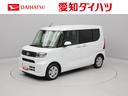 carPhoto