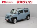 carPhoto