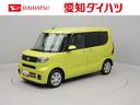 carPhoto