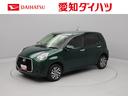 carPhoto