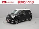 carPhoto