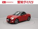 carPhoto