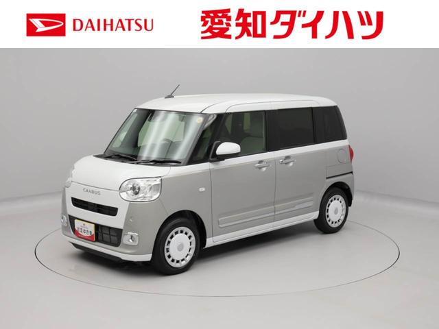 ムーヴキャンバス ストライプスＧ（1枚目）