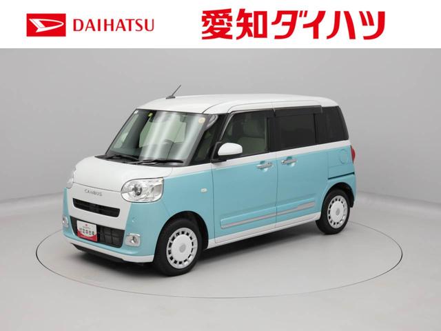 ムーヴキャンバス ストライプスＧ（1枚目）