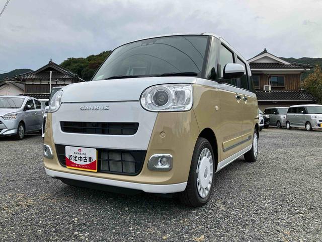 ムーヴキャンバス ストライプスＧ（1枚目）