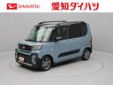 carPhoto