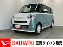 carPhoto