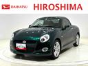 carPhoto