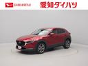 carPhoto