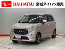 carPhoto