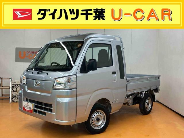 ҡ߽ͤФƤ꡼գмξǤ ǯξõΥ󥹤򤪸ƨʤ 1