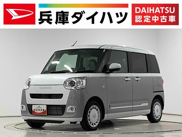 ϥ ࡼХ ȥ饤ץǡǥץ쥤ǥ̥顡ǯݾ