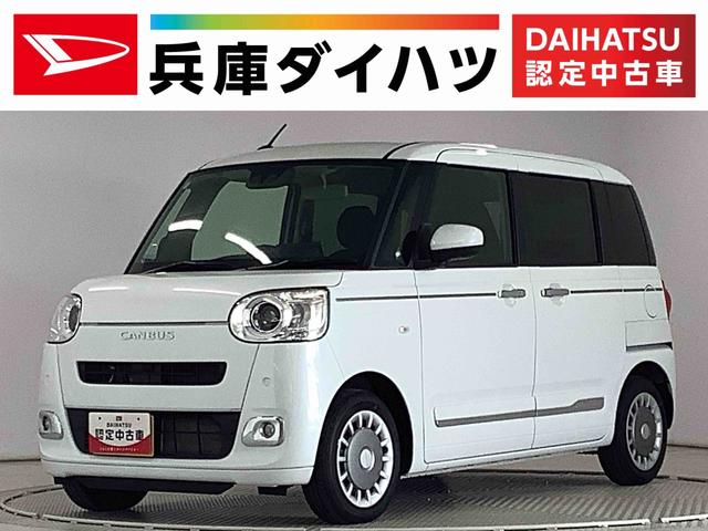 ϥ ࡼХ ꡼ǥܡʡǥץ쥤ǥǯݾ