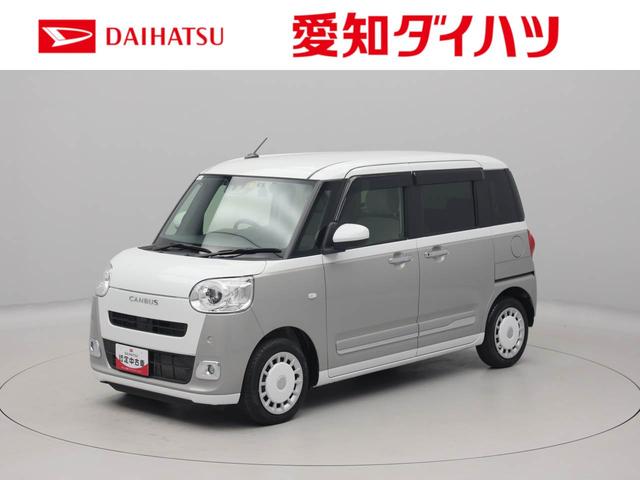 ϥ ࡼХ ȥ饤ץǥܡ꡼ʥӡХå顡ξ¦ư饤ɥɥ