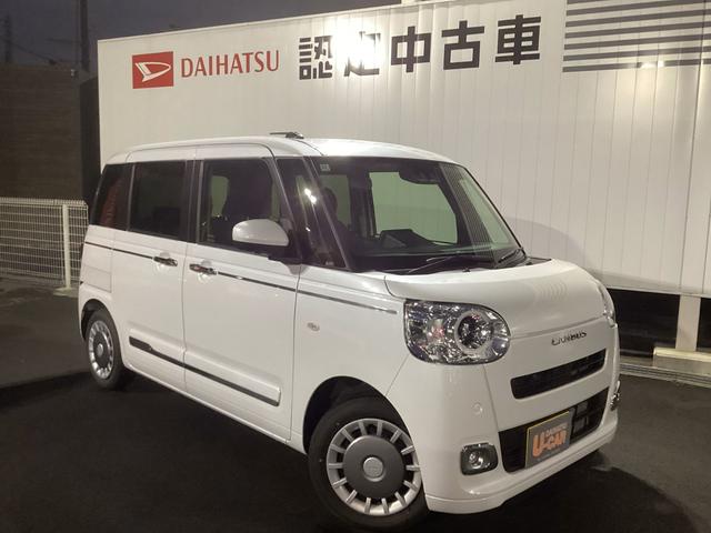 ϥ ࡼХ ꡼ǥܡե륻ʥӡѥΥޥ˥ǯݾڵΥ̵