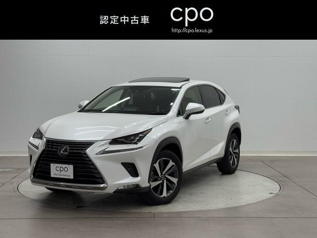 쥯 Σ ΣأС̡ץȡ̣ţĥإåɥ