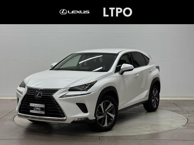 쥯 Σ Σأ衡С̡ưѥȡϥǥ