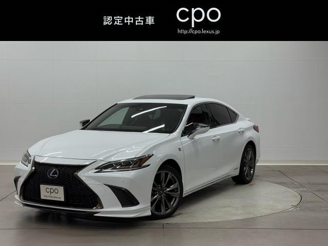 쥯 ţ ţӣ衡ƥݡġ졼륳󡡥ѥ