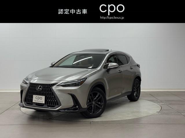 ǯࡼ롼աѥΥޥߥåӥ塼˥ 1