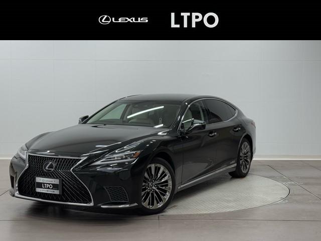 쥯 ̣ ̣ӣ衡ɥѥåϥǥ