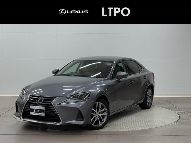 쥯 ɣ ɣӣ衡ϥǥե륻ѥݥݥȡݥȥ