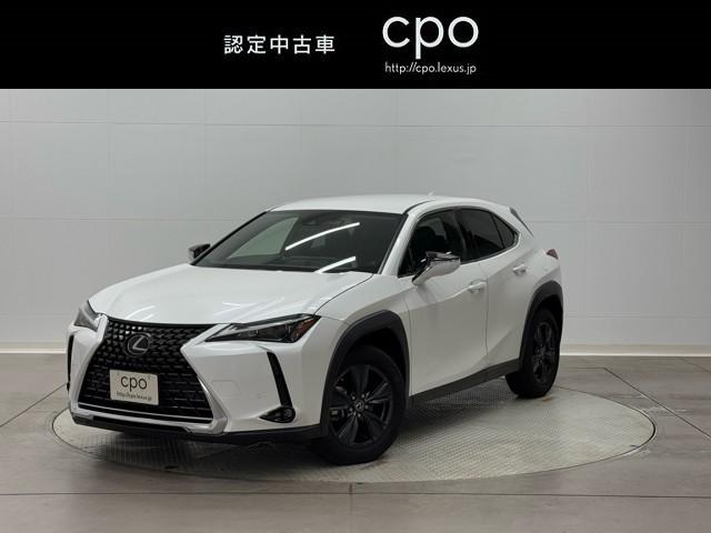 쥯 գ գأ衡СáХå˥ϥǥ