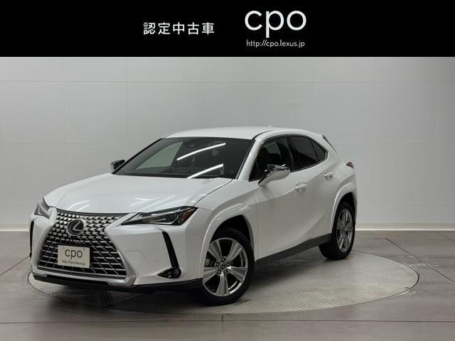 쥯 գ գأ衡쥤ե롡ץ顼̣ţĥإåɥ饤