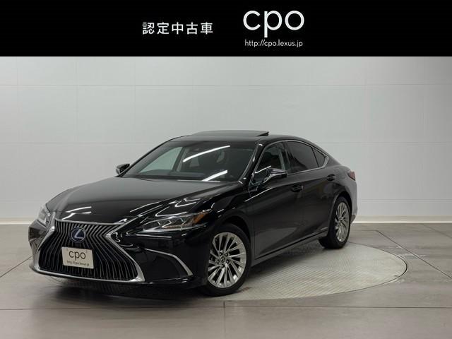 쥯 ţ ţӣ衡С̡ϥǥܳץ