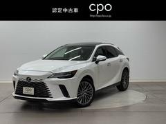 RX RX350 バージョンL パノラマルーフ ルーフレール 認定中古車 中古車画像