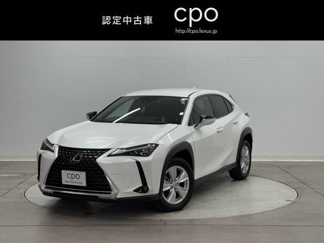 ̣ţĥإåɥס֥饤ɥݥåȥ˥ܥѡ󥰥ݡȥ 1