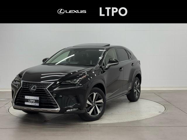 쥯 Σ Σأ衡С̡졼륳󡡥ե륻