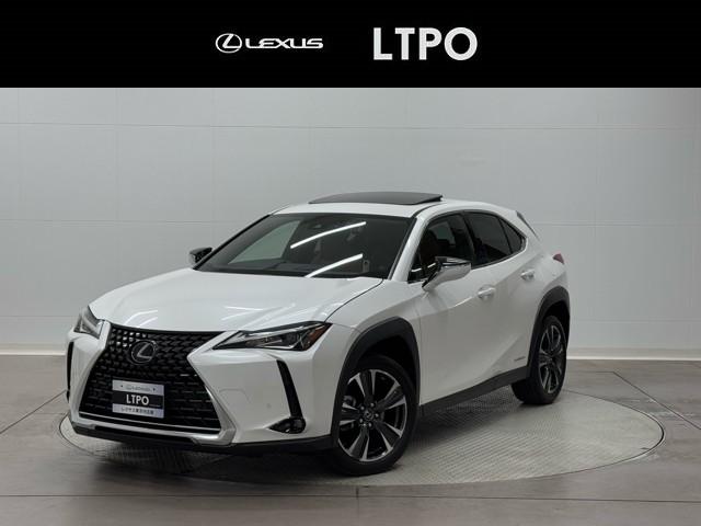 쥯 գ գأ衡Сá롼աХå˥