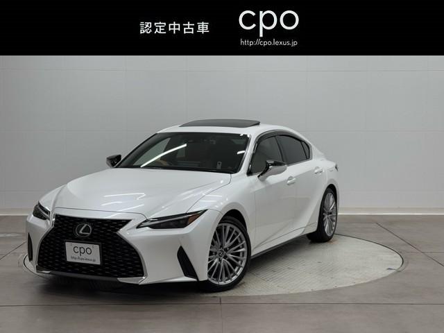 쥯 ɣ ɣӣ衡С̡ࡼ롼աѥΥߥåӥ塼˥