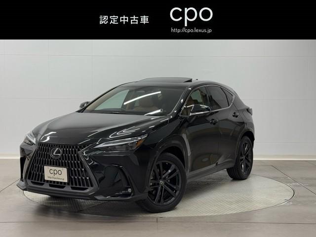 쥯 Σ Σأ衡С̡̣ţĥ饤ȡܳ