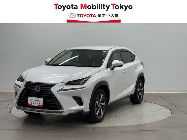 ѡ󥰥ݡȥ֥졼ںߥۥ롦ǯ 1