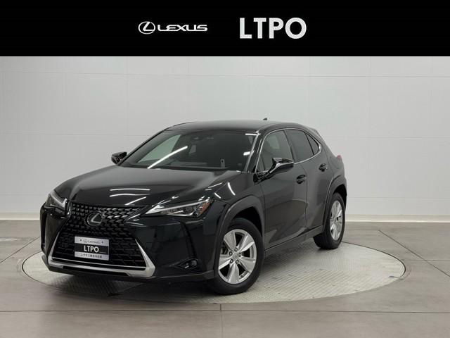 쥯 գ գأСáץƥ֥롼ȥ롡Х