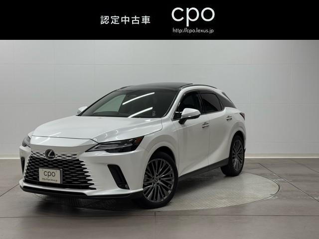 ǯ롼ե졼롡ѥΥޥ롼 1