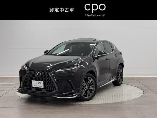 쥯 Σ ΣأܡС̡ʡѥ